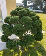 Maridor Paysagistes Bild 7