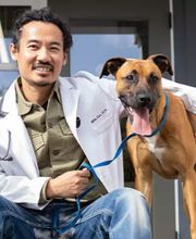 Irvine Valley Veterinary Hospital Emergency image 6