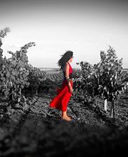 Bodega C. Mingo imagen 3