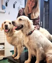 Dierenkliniek Amersfoortweg afbeelding 3