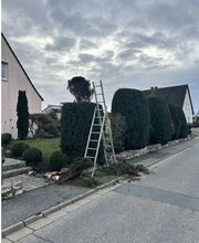 Gartenservice Mark Miess Bild 47