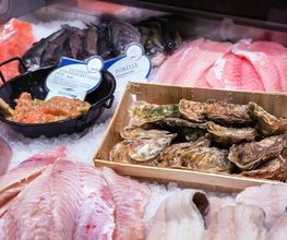 Metzgerei, Frische Fische & Käse
An unserer Frischetheke erwarten Sie unsere Mitarbeiter mit einem umfangreichen Angebot an diversen Leckereien und beraten Sie natürlich auch gerne über die unterschiedlichen Produkte.
Von unserem Partner „Südbayrische Fleischwaren“ werden wir täglich mit frischem Fleisch beliefert. Die finale Verarbeitung geschieht jedoch hier bei uns in der hauseigenen Metzgerei. So erhalten Sie bei uns zum Beispiel auch leckere Grillspezialitäten oder diverse Salate für Ihre gemütliche Grillfeier. Hervorzuheben sind auch unsere Premium-Fleischsorten, beispielsweise aus Argentinien und Uruguay.