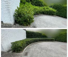 1000012258.jpg