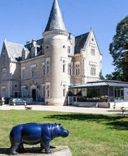 Château des Reynats image 8