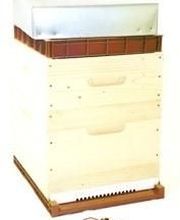 Apiz Apiculture Kingersheim image 8