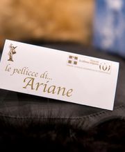 Gallery Professionale