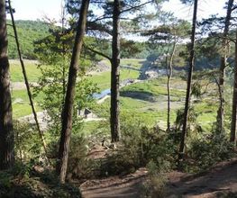 Pineau Patrick image 5