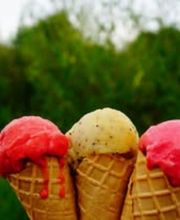 Maxifruit - Sorbets fermiers image 6
