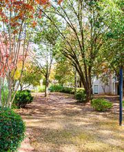 Hairston Woods image 10