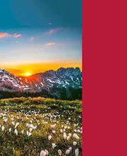 Rothus Medien AG Bild 2