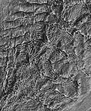 Photographe CDCliC image 6