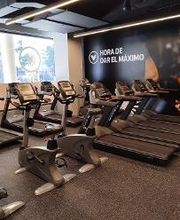 Gimnasio VivaGym Boston imagen 17