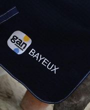 GAN ASSURANCES BAYEUX SAINT PATRICE image 1