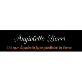 Angioletto Borri logo