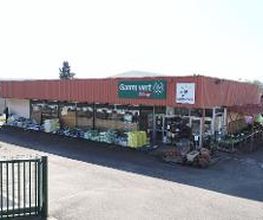 GAMM VERT image 4