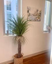 Palm Branch Dentistry image 15