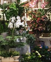 La Fioreria Lugano® Bild 6