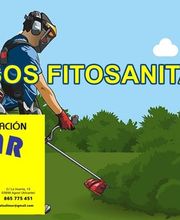 8893208-5-gJbs7tO4pf1699371832825.jpeg