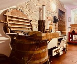 Springbach-Mühle Belzig OHG Bild 12