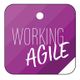 WORKING AGILE