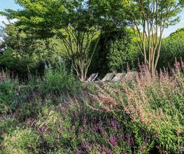 LES JARDINS SOTHYS image 6