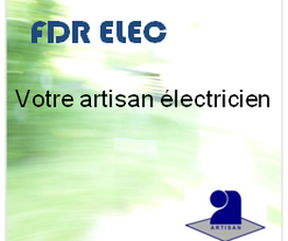 FDR Elec image 1