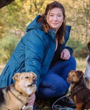 Altländer Hunde Bild 1