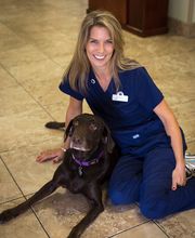 Topaz Veterinary Clinic image 1