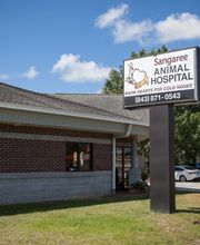 Sangaree Animal Hospital image 17