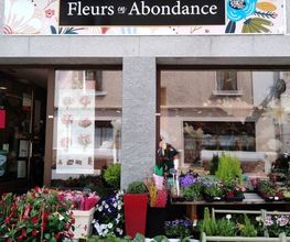 Fleurs en Abondance image 1