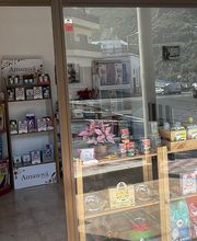 Peluquería Canina Siempre Lindos imagen 4