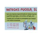 logo-Neteges-Pucela.jpg