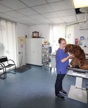 Kleintierpraxis Eckhard Bürgener Tierarzt Bild 4