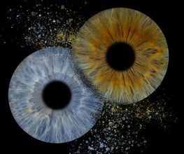 You & Eye Photo Genève Bild 14