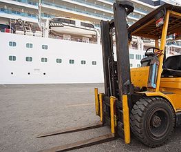 Chariot Plus image 1
