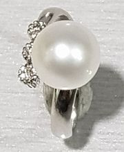 JMYFJ Ferrándiz Quesada imagen 2