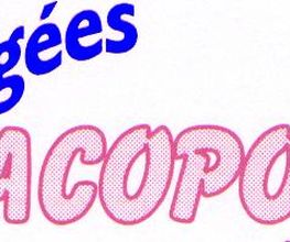 Dragees Jacoponi image 10