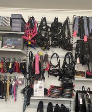 EQUIVA Lingen Bild 2