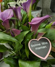 Au Fil des Saisons image 9