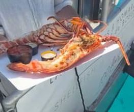 CLAPI BOATS image 4