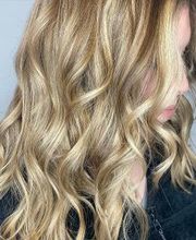 Chameleon & Company image 6