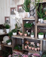 Jardin Des Loges image 2