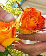 La Montagne Fleurie image 1