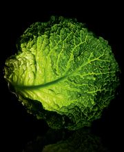 TRANSGOURMET image 1