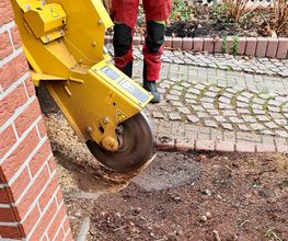 Der Gartenpionier Bild 9