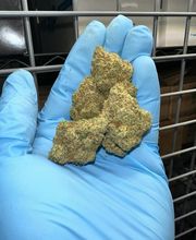 Deeply Rooted Boutique Cannabis Company image 4