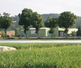SAS Eurobulbe image 7