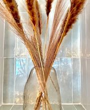 Suite Balnéo Canet image 6