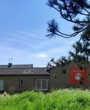 Limet Claire image 4