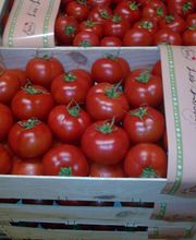 Rabes Primeurs SARL image 5